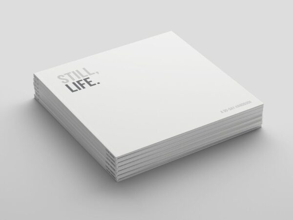 Still, Life: 90-Day Handbook (Digital Download)