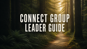 Connect Group Leader Guide on a sunlit forest path